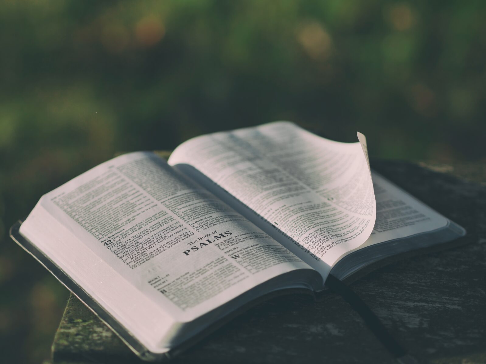 Notas del Pastor MJ: Es tiempo de buscar que la presencia de Dios nos transforme