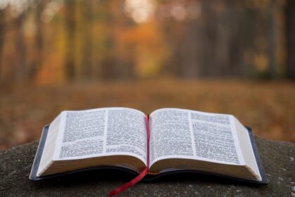 bible page on gray concrete surface