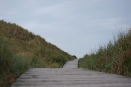 gray wooden pathway between green grass field under white sky during daytime