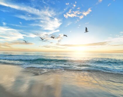 Reflexiones de Esperanza: La libertad que Dios nos da (Parte II)
