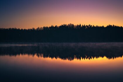silhouette of trees near body of water during sunset