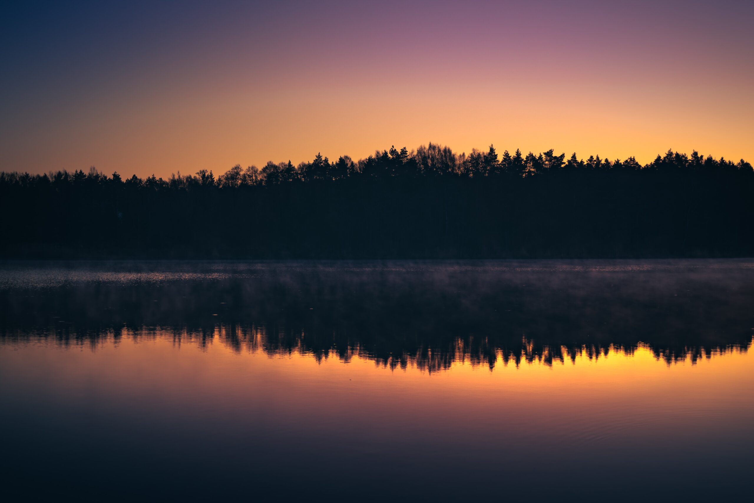 silhouette of trees near body of water during sunset